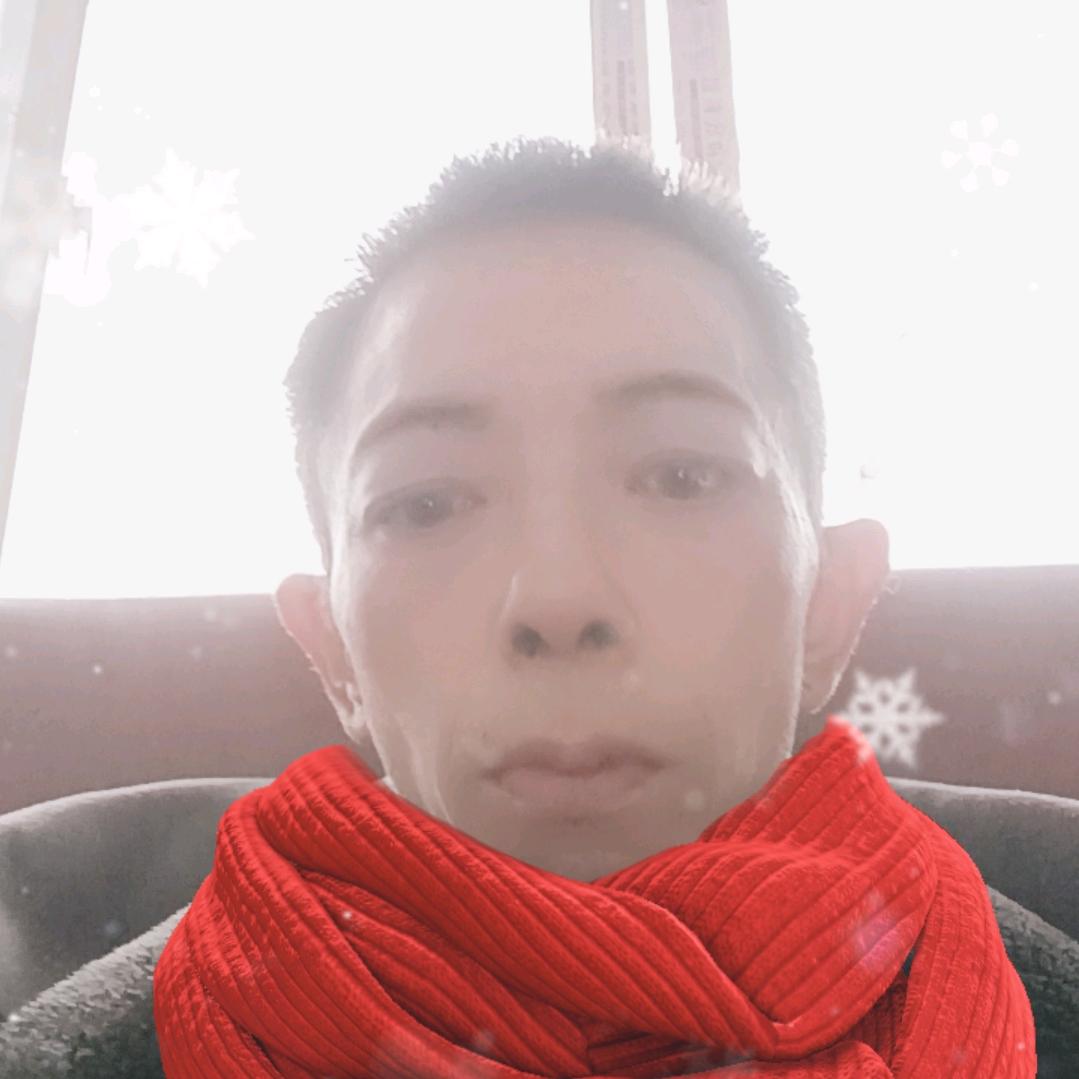真心期待
