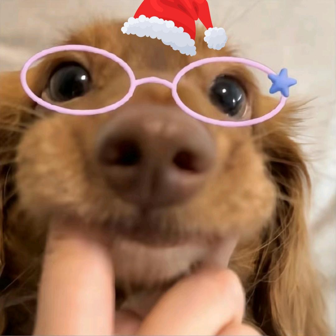 张什么镕来着🤔