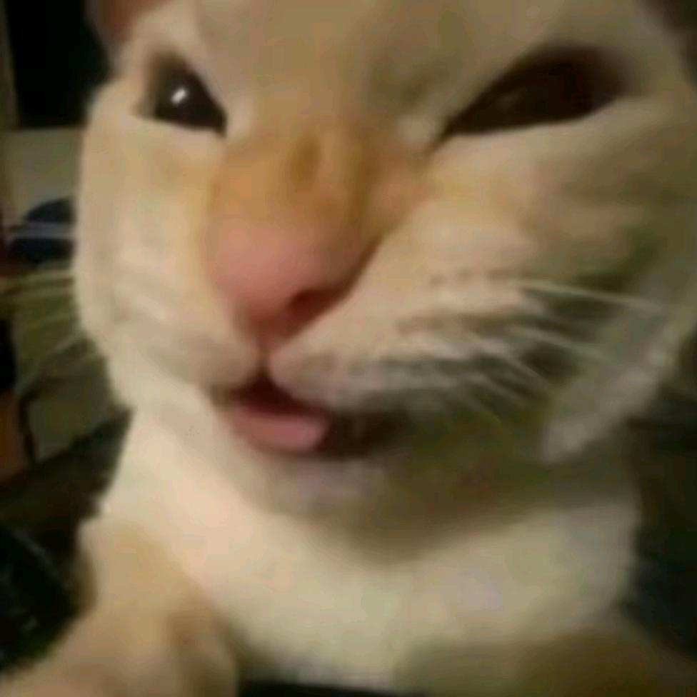 渣郁头像