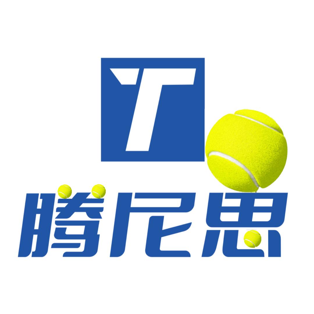 腾尼思-小T