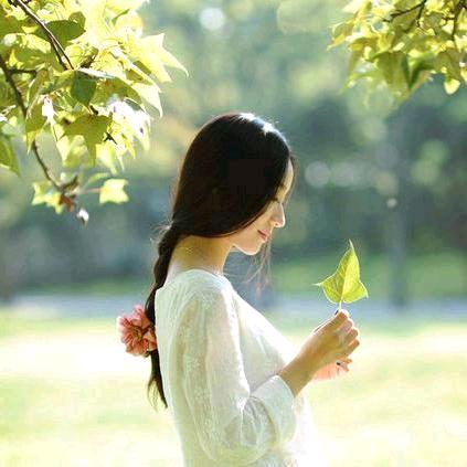 💖 晨阳💖