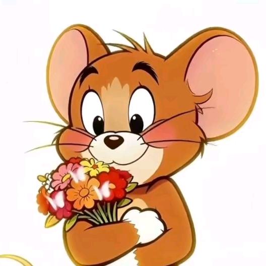 养猪猪的小仙女