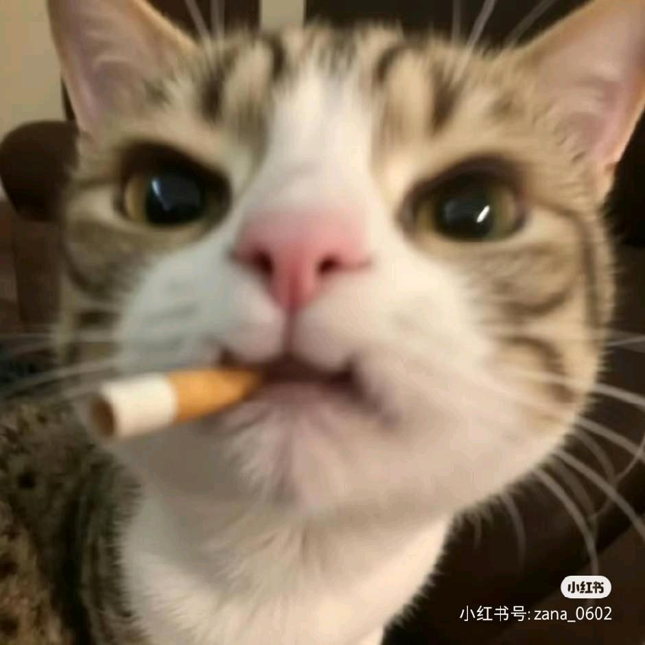 宋见初