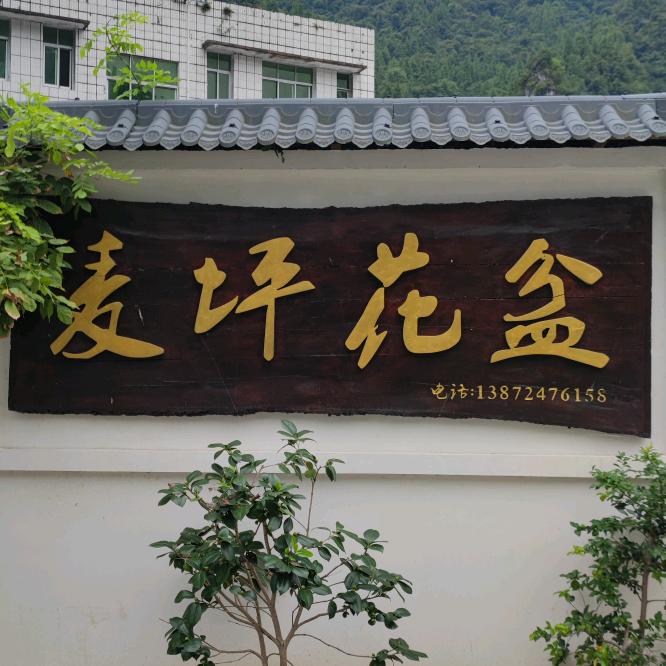 麦坪花盆厂（华中盆业）