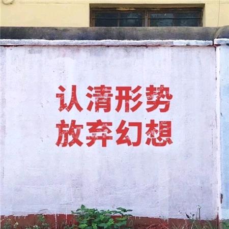 yang昊1头像