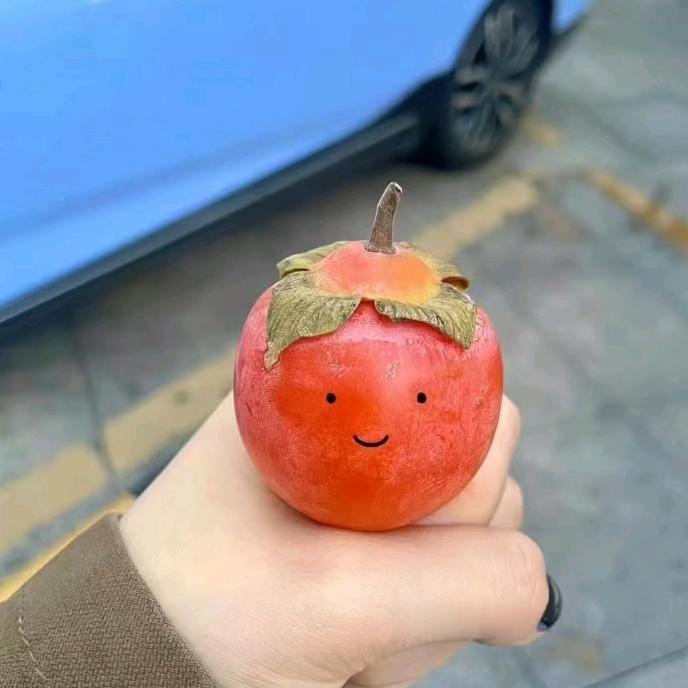 水溶肥源头厂家~小晚