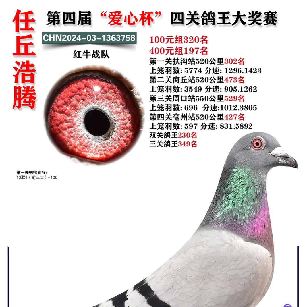 任丘市佳辉鸽舍，婚车