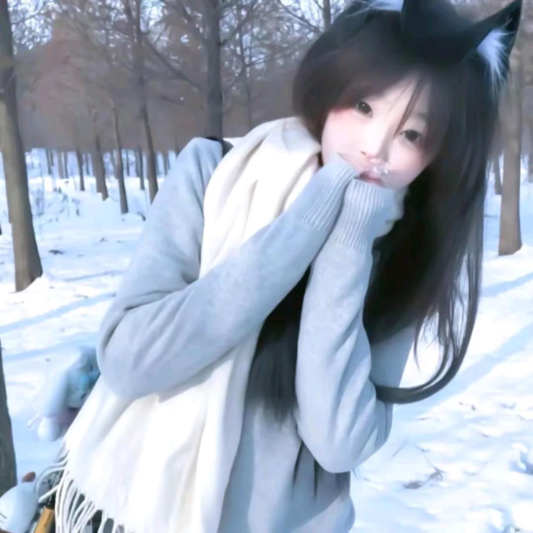 小狗碎碎念⌯'Ⱉ'⌯.
