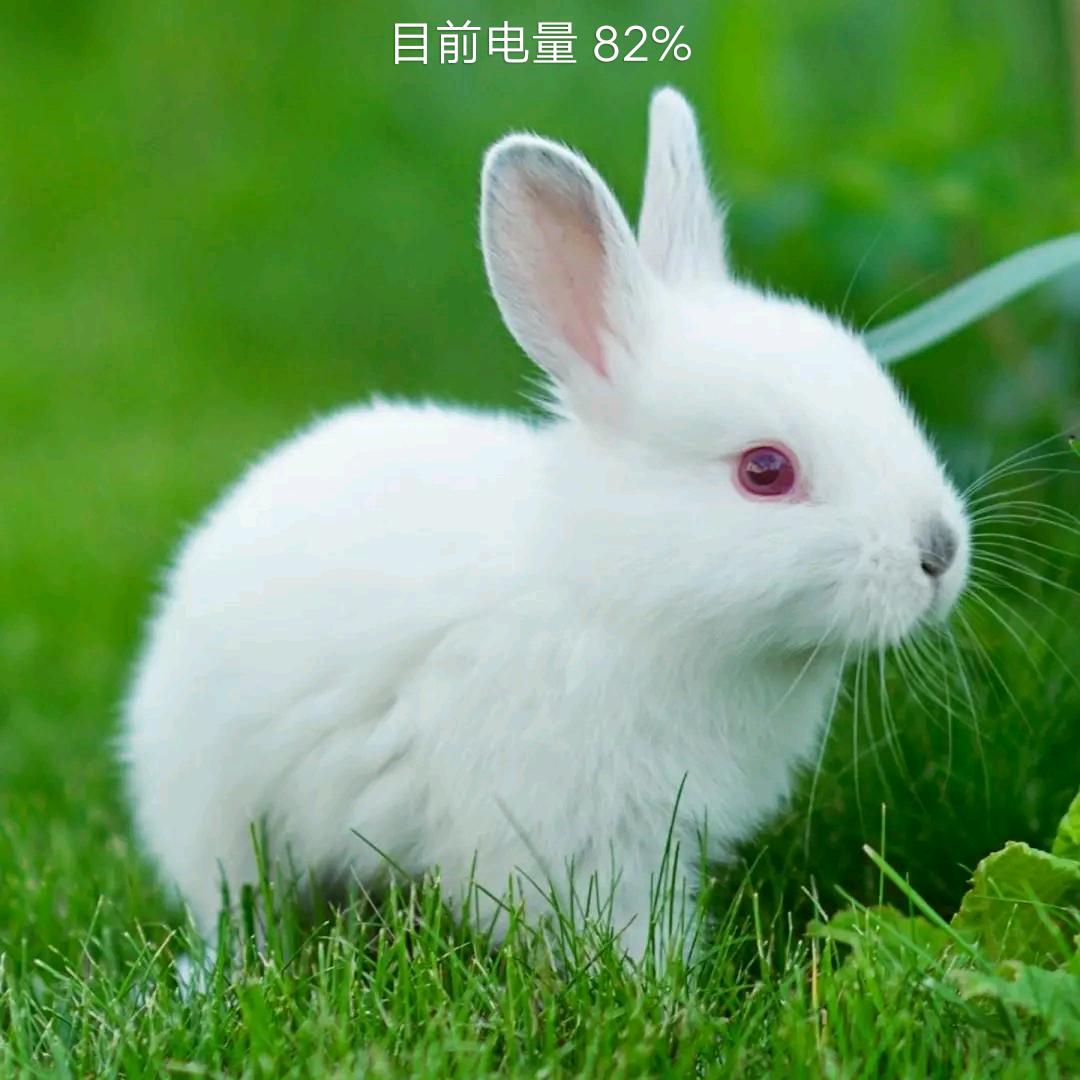 开心就好🙏🏻