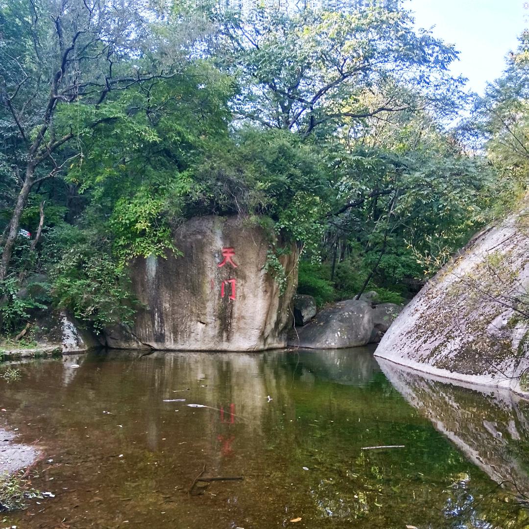 應⭐應