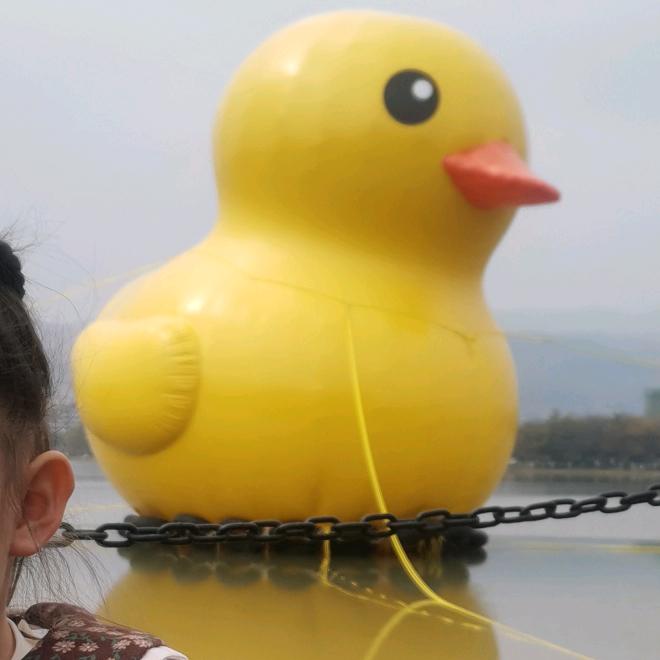 鹌云鹑云哇