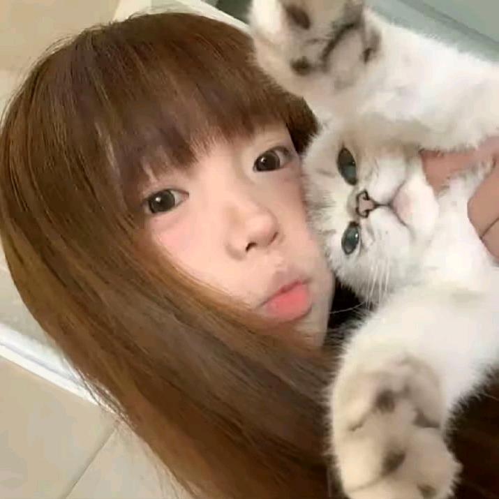 D茹