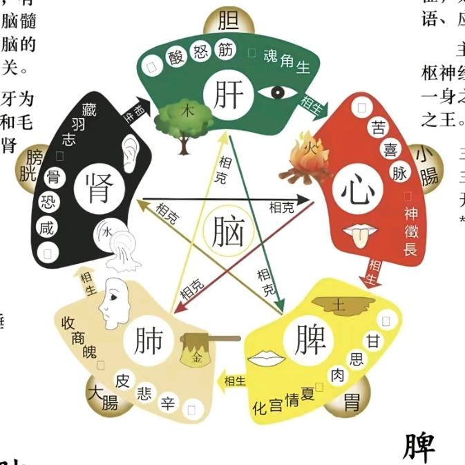 张老师讲堂