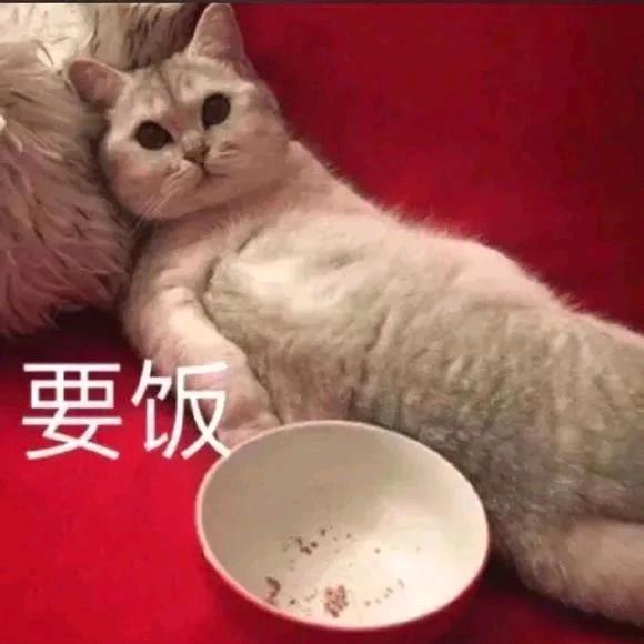 Axy（三角洲行动）