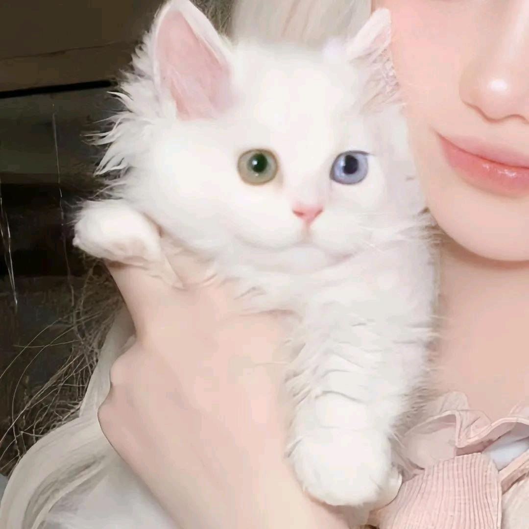 我睡觉的时候不困