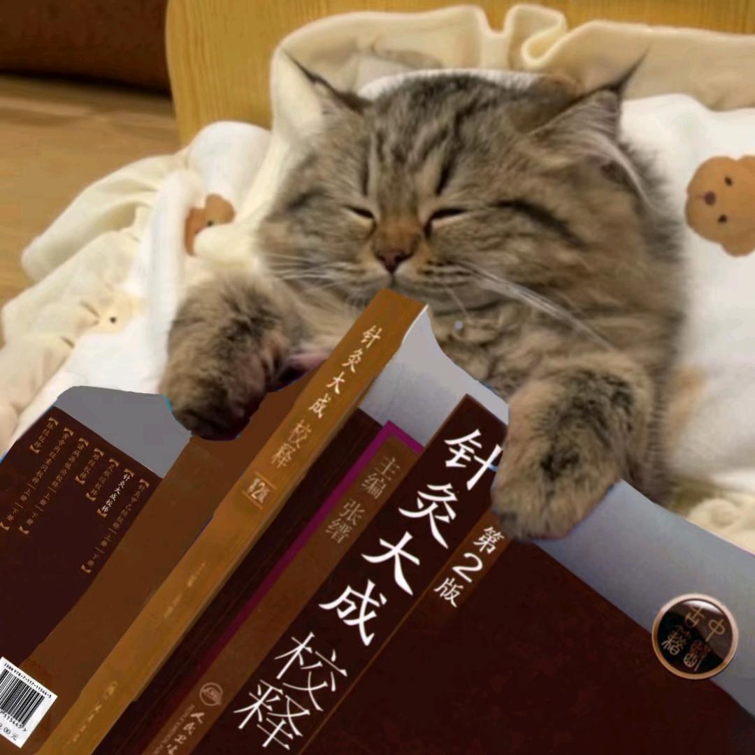 凇++