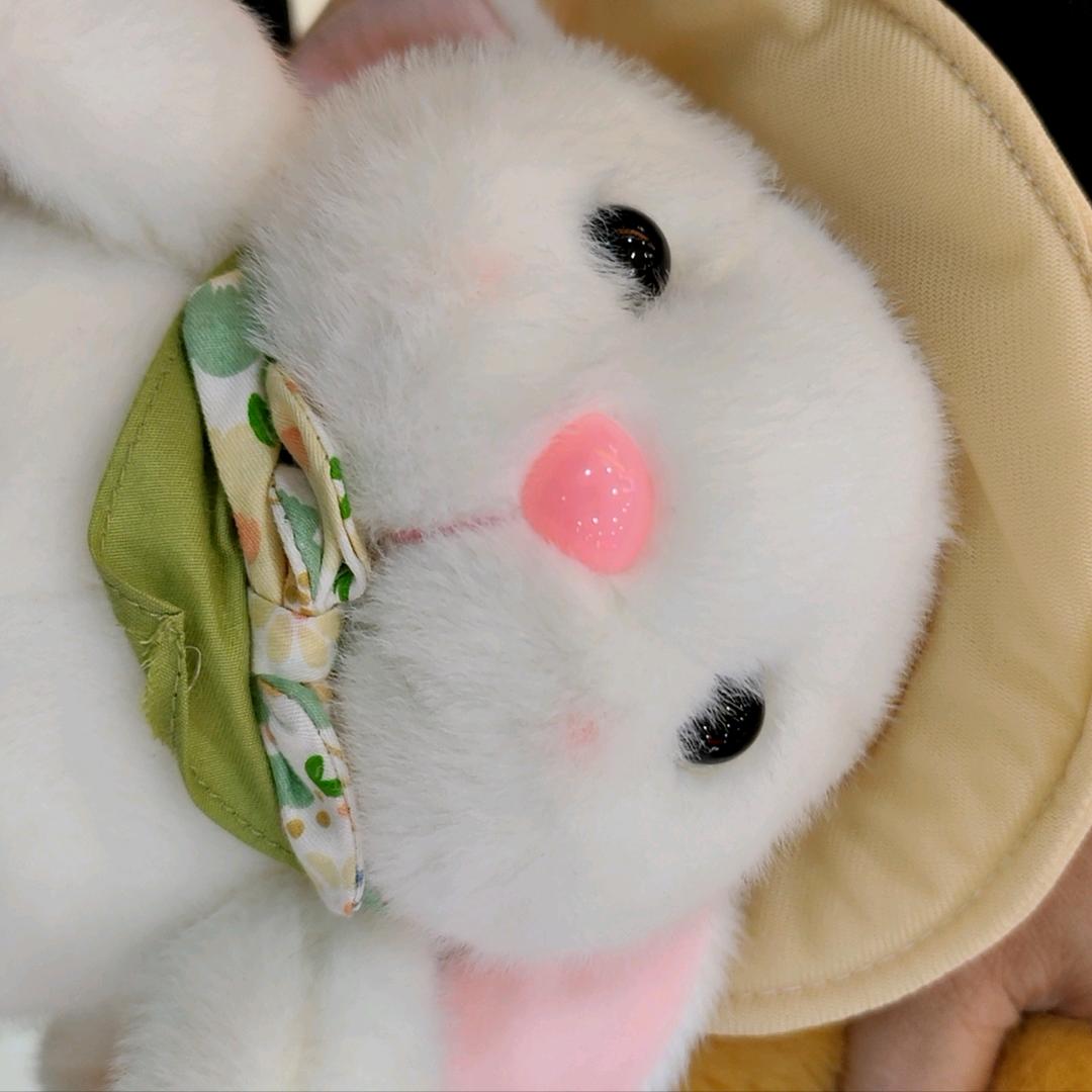 爱了爱了