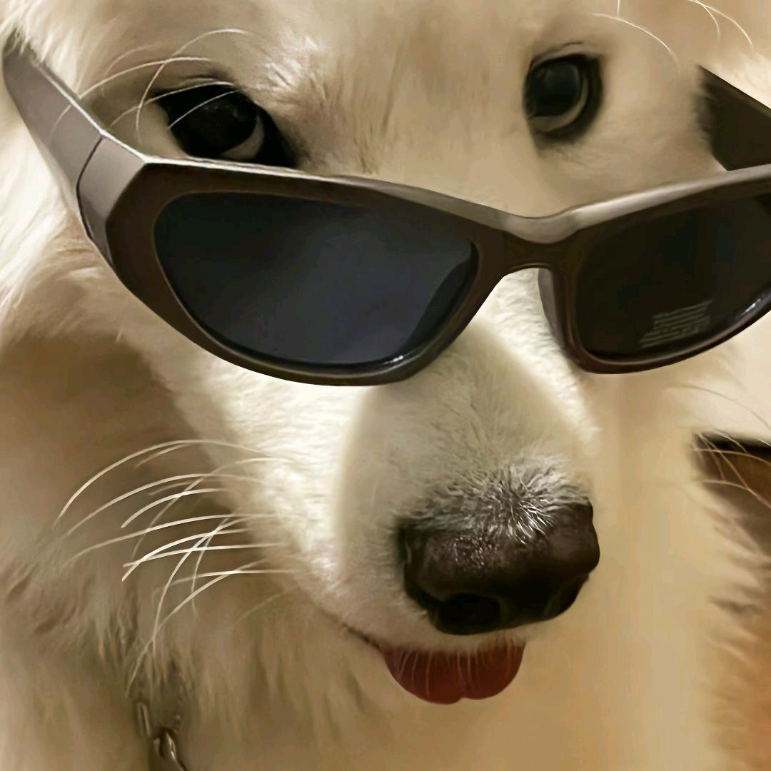 钟声响起归家的讯号