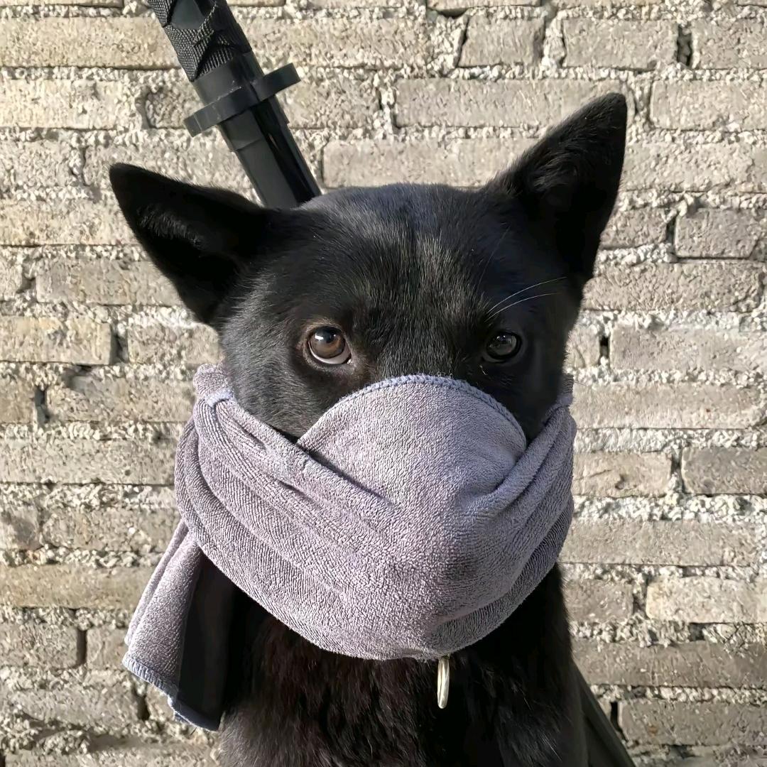落叶.