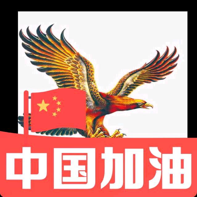 天山飝鹰🚀🚀🚀正能量大使✈️✈️✈