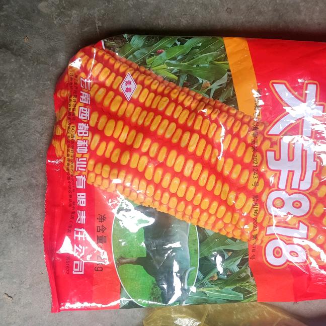 我叫阿超:手机摄影！