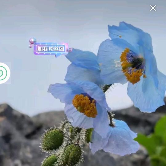 深渊