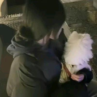武极城的红芳头像