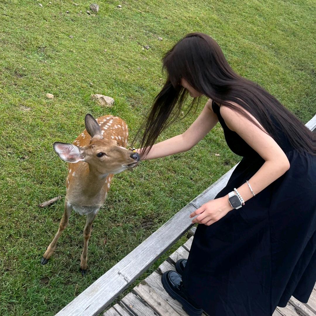 苍鹿百货坊