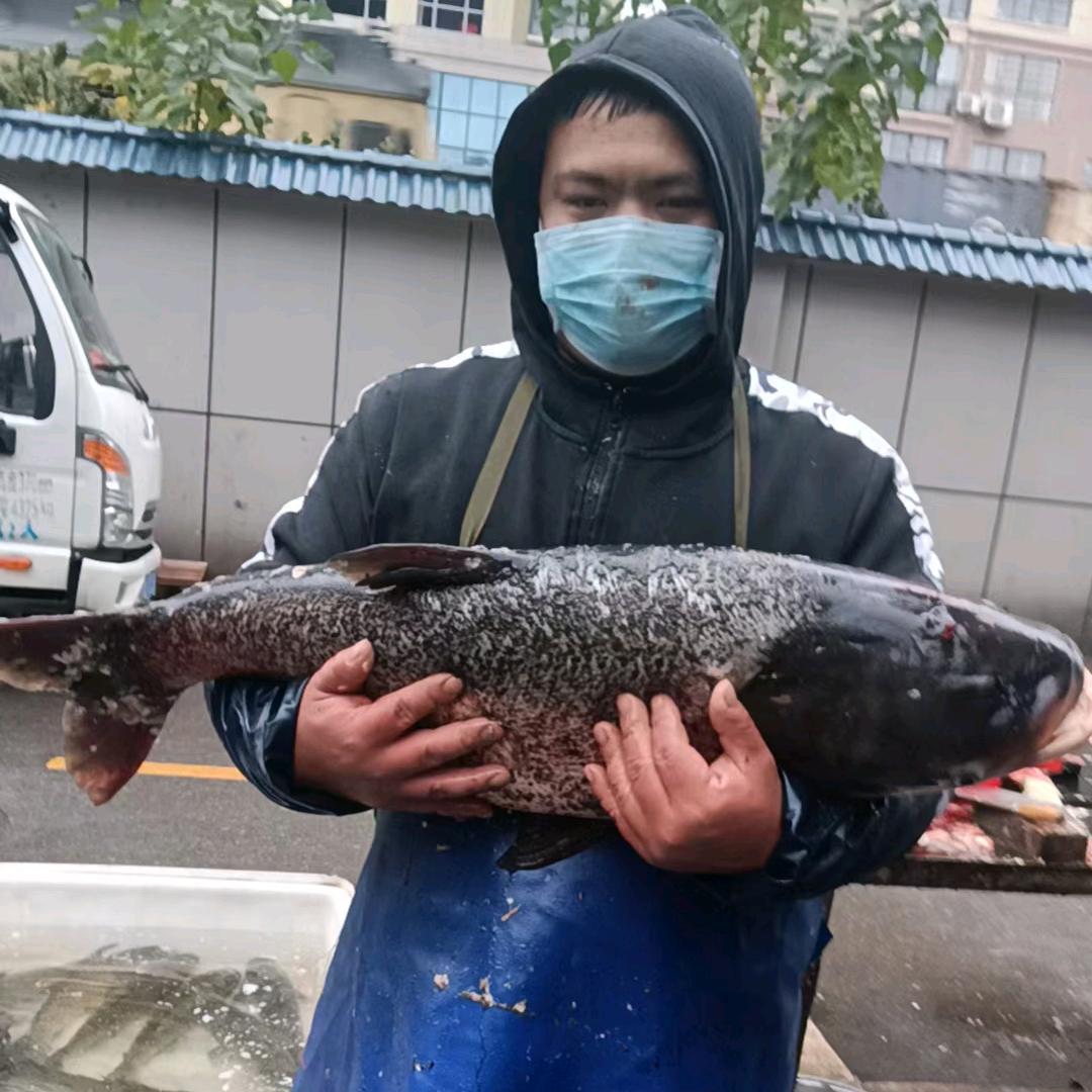 祁东阿辉