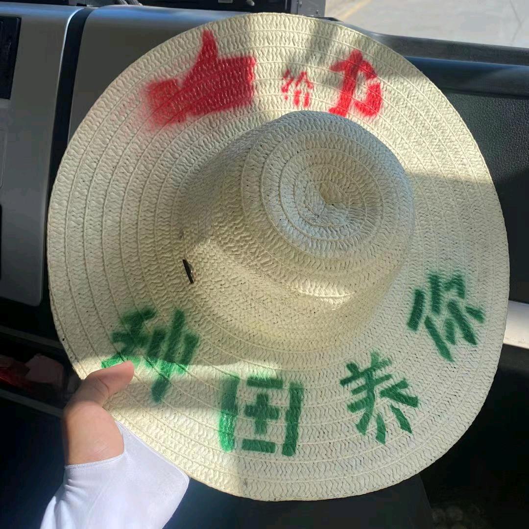 早睡早起