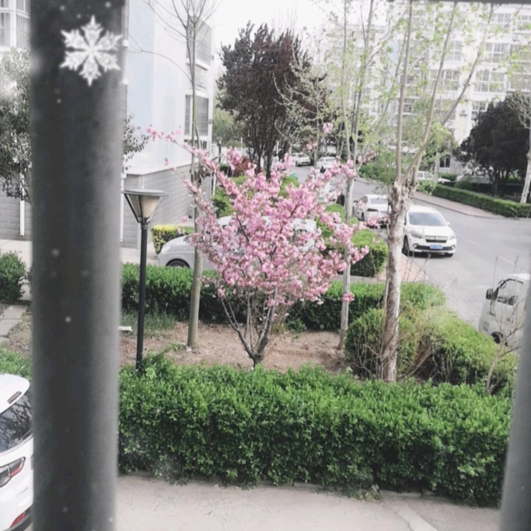 电工老姜