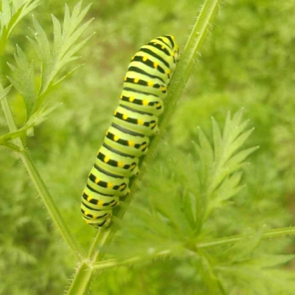 风物长宜放眼量