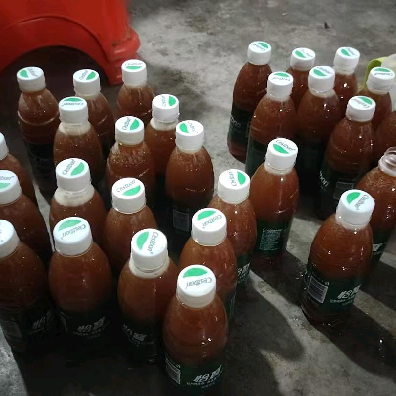小鱼闹窝