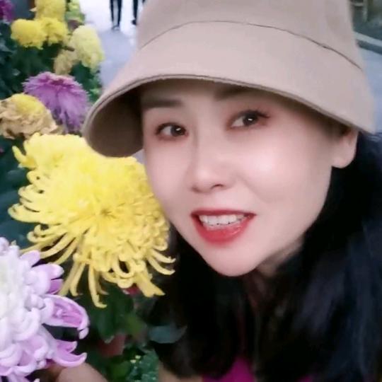 菊花meⅰ拒私聊哈