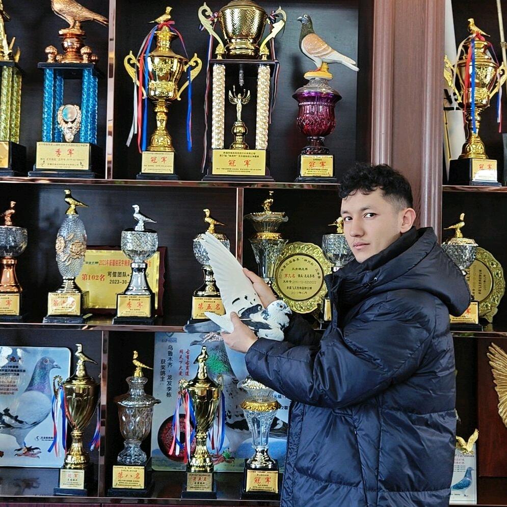 龙发鸽业买买提江