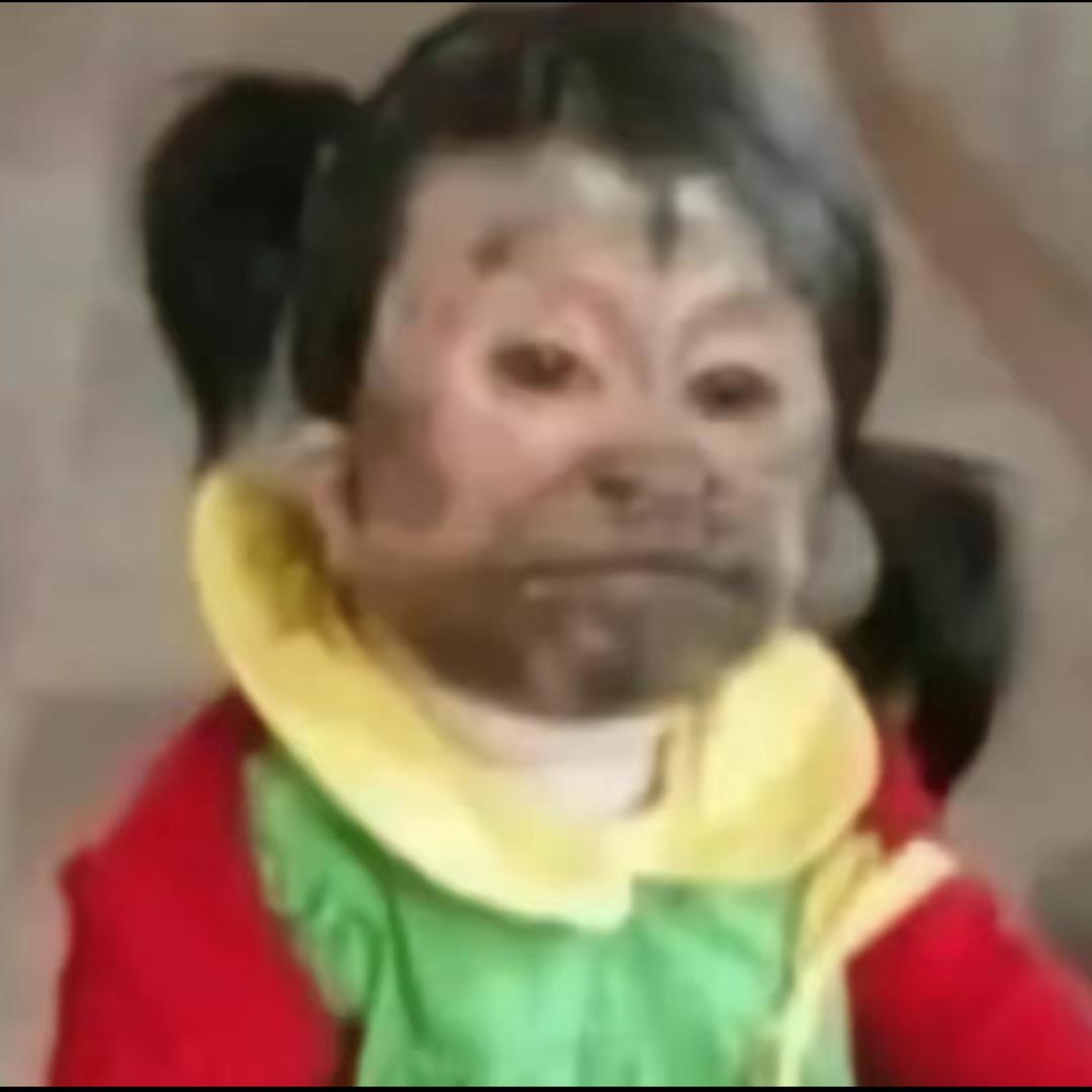 🐢