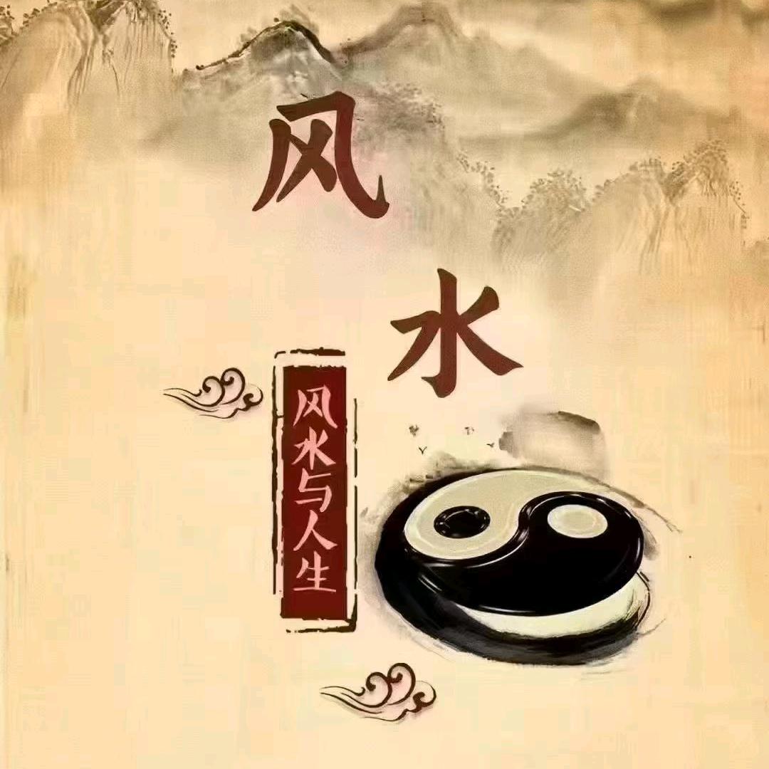 金先生