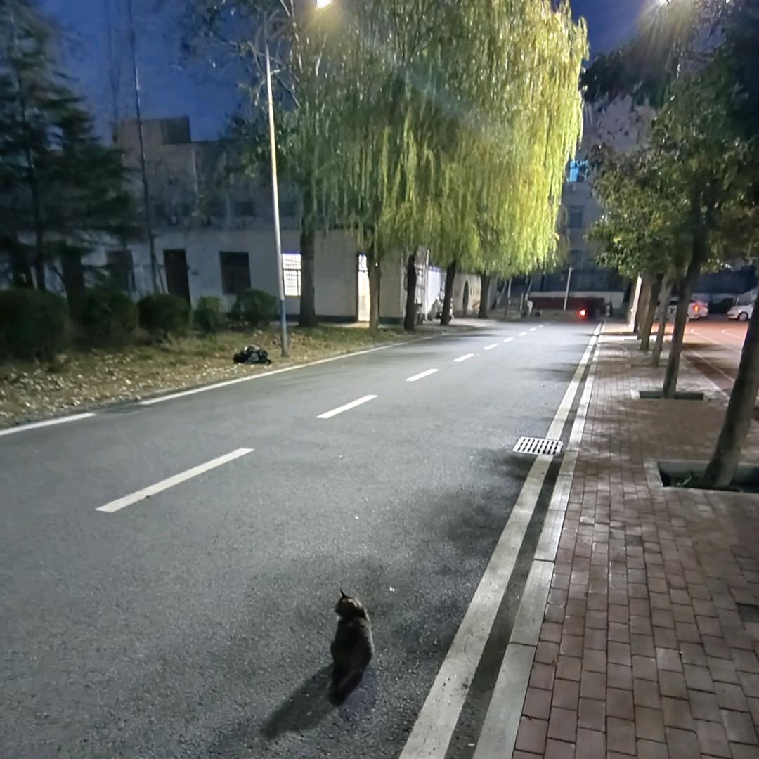 男的