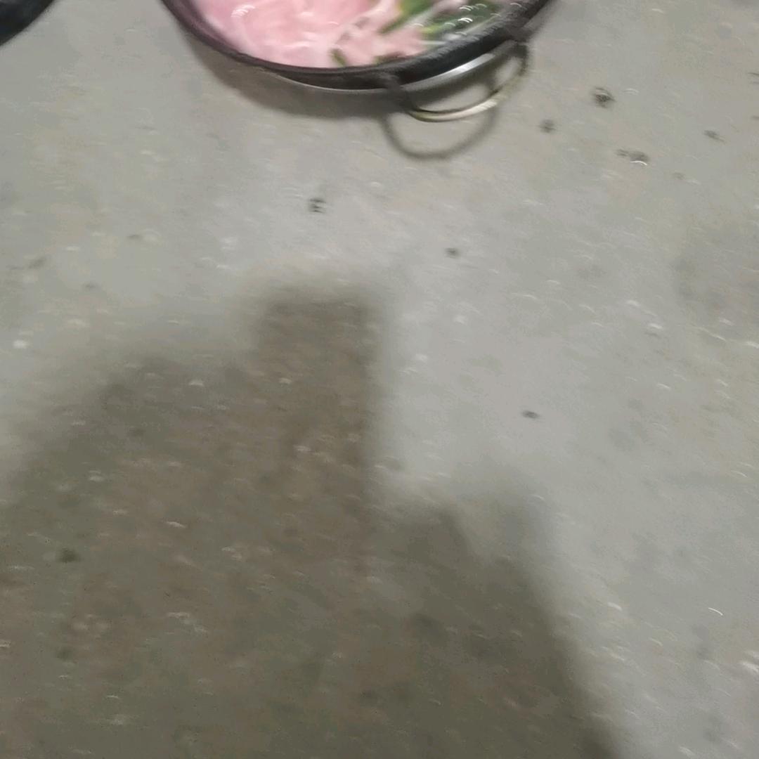 新主播陶陶