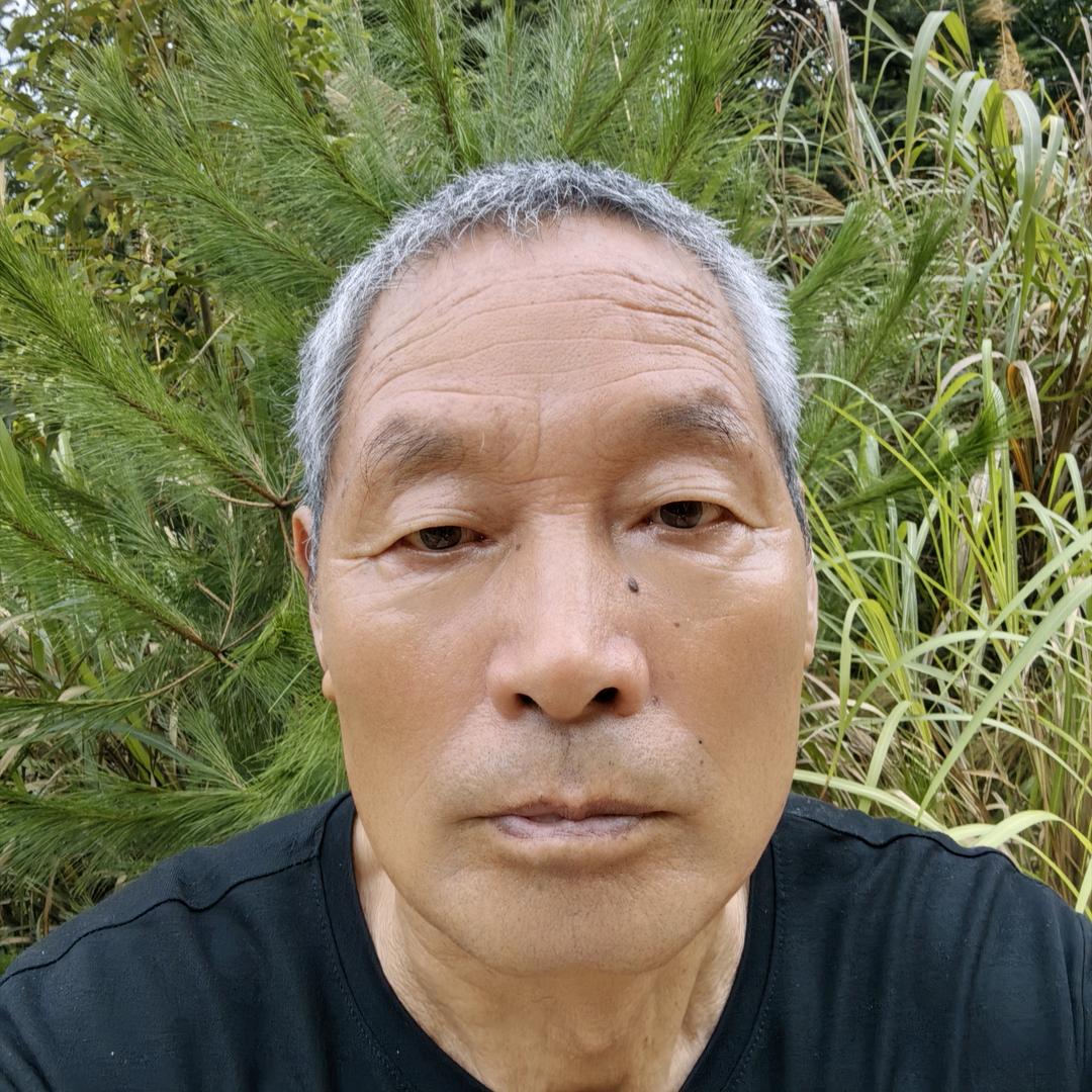 老高。