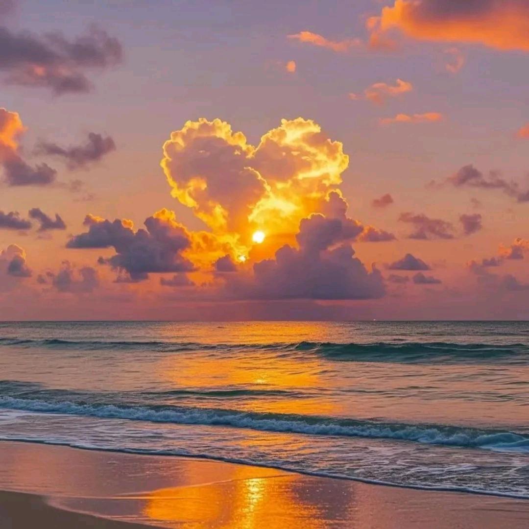 万事♥胜意