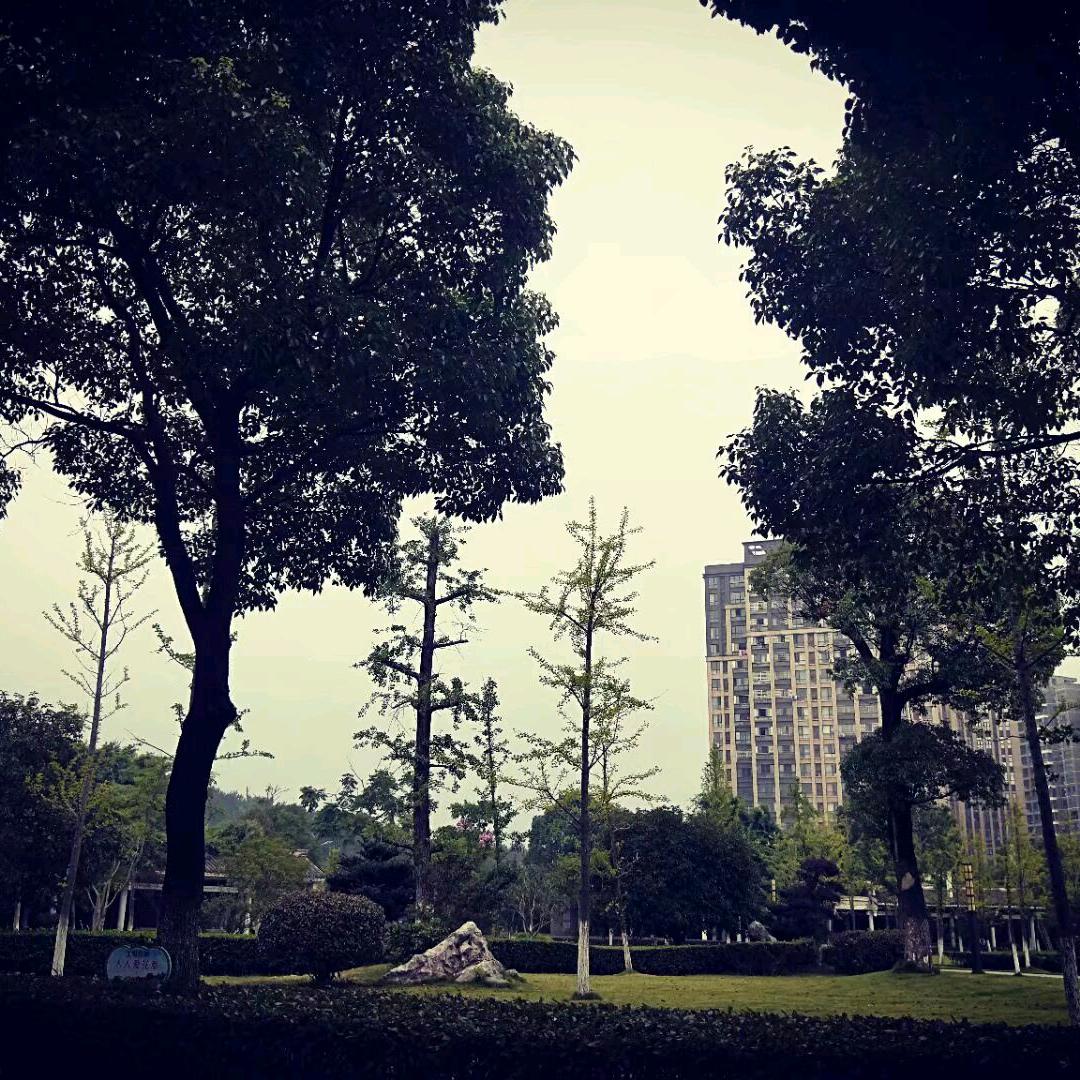 miss