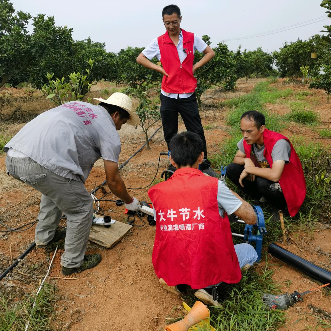河北滴灌喷灌水肥一体化