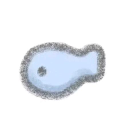 小魚乾