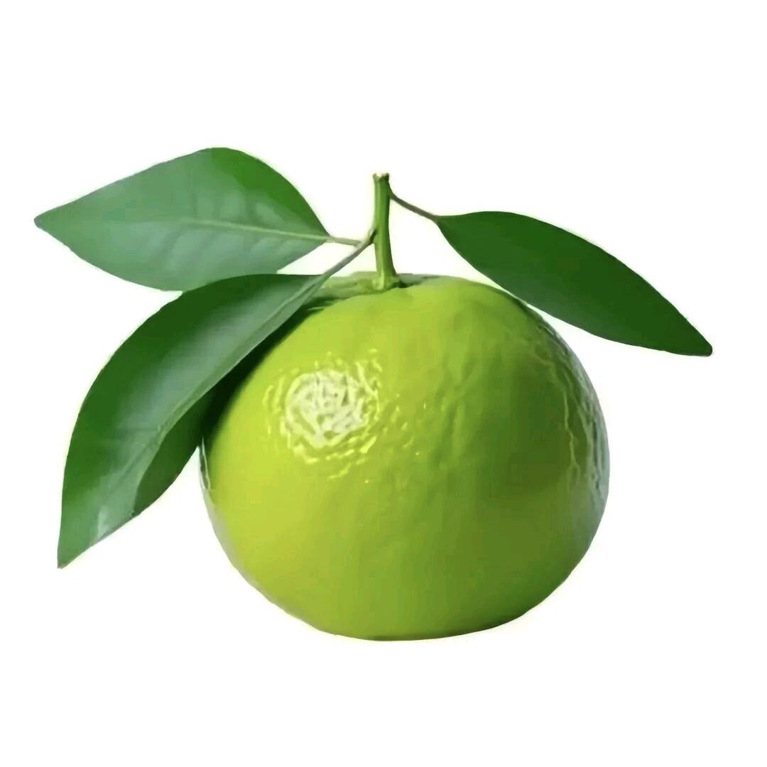 满满.