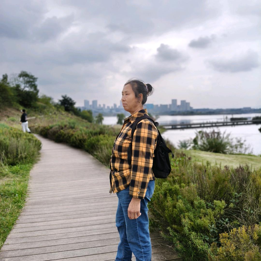 天若有情，