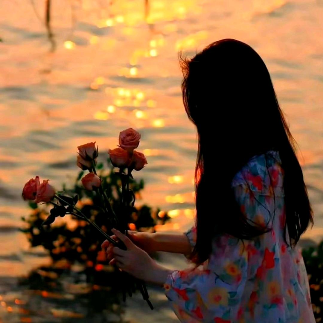 F黑色玫瑰花