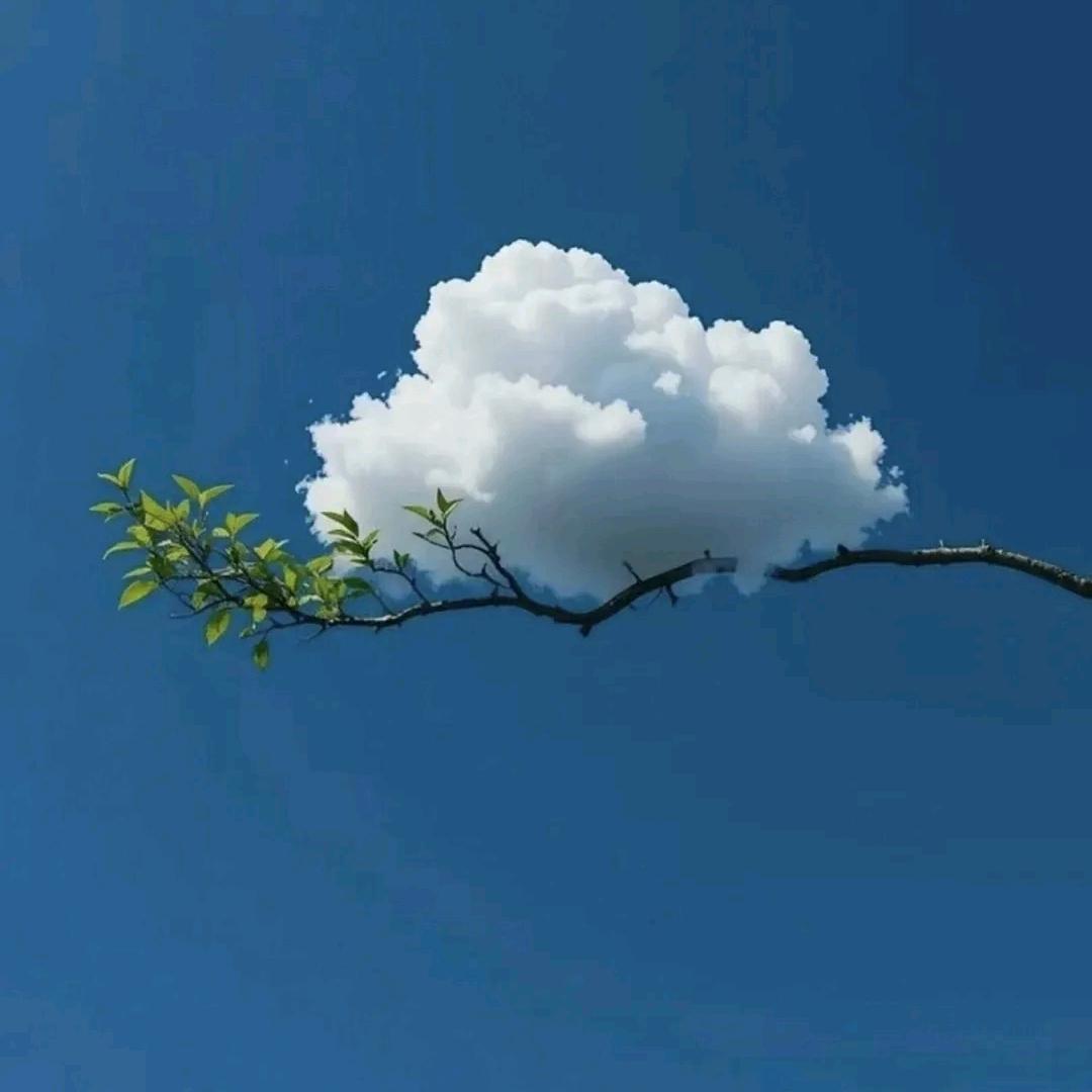 是吖