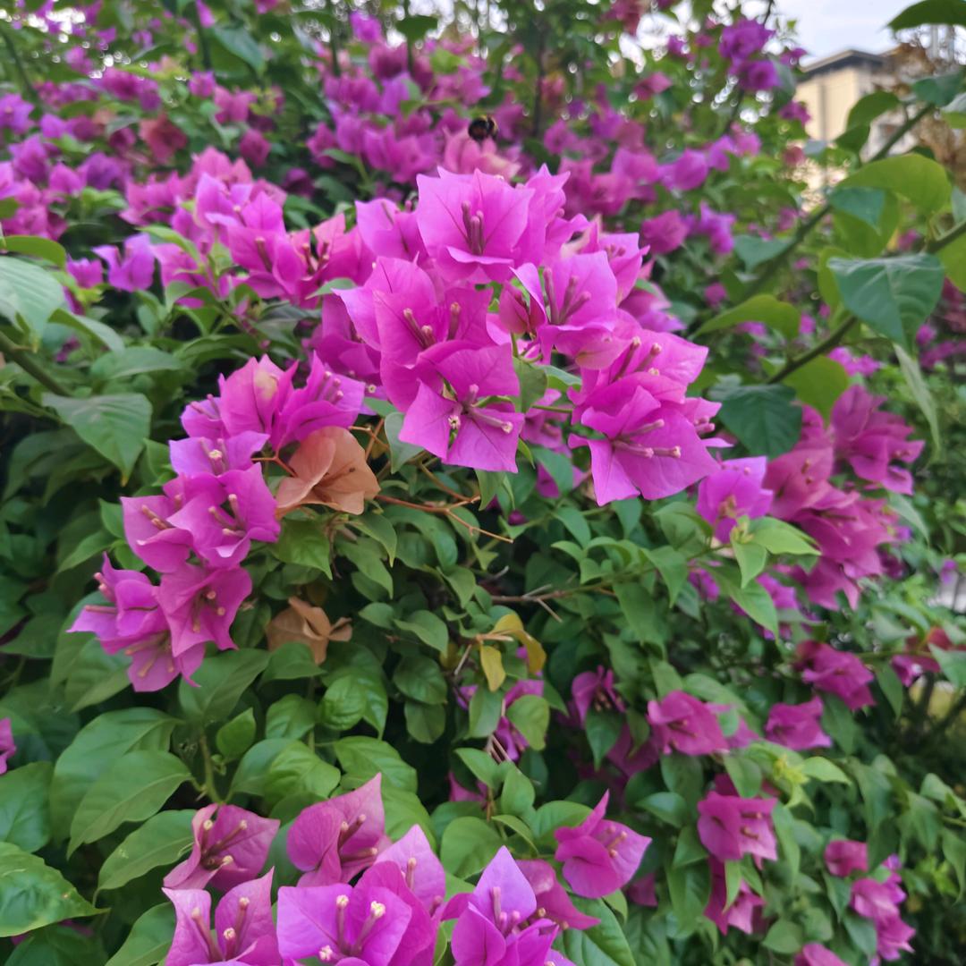 开心过好每一天