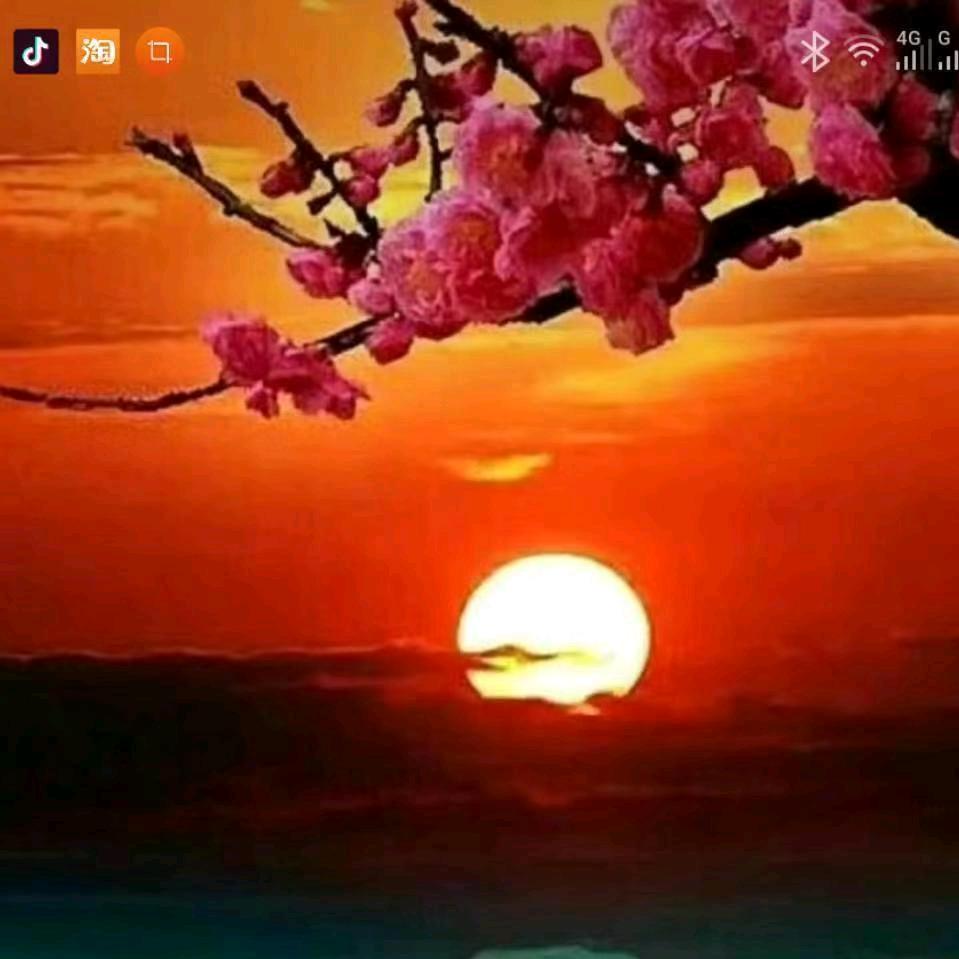 天山一枝梅<河南程哥>